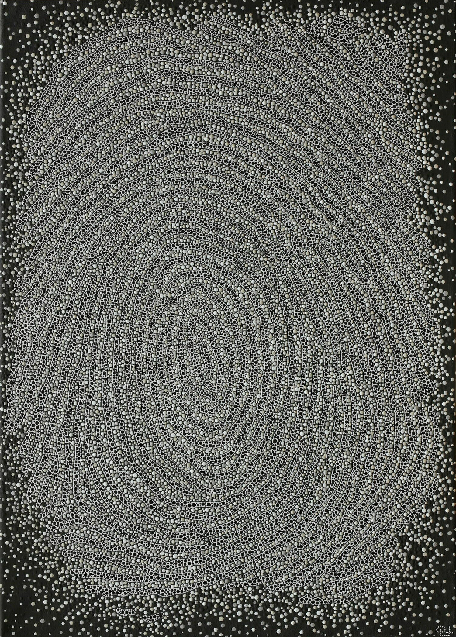 The Fingerprint The Fingerprint